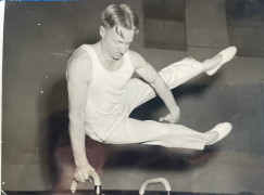 Stan Davies, Australian gymnastics team