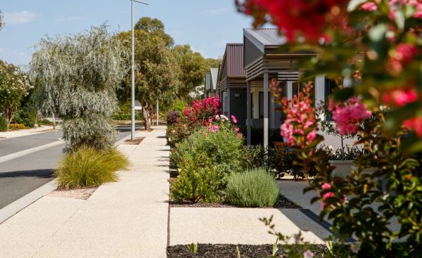 A charming street in Dalkeith Heights lined with colorful flowers and shrubs in front of quaint houses