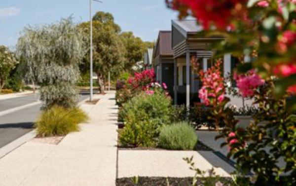 A charming street in Dalkeith Heights lined with colorful flowers and shrubs in front of quaint houses