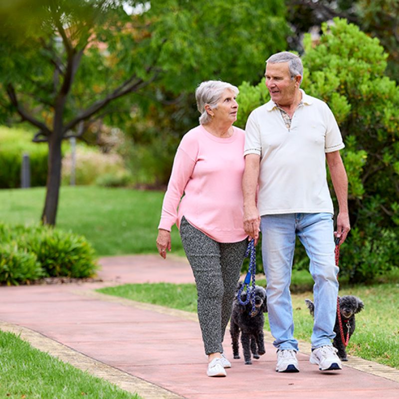 Couple walking their dogs around a lake